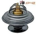 Termostat Fendt F119200050040 