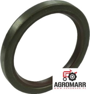 Uszczelnienie Case IH 3402795R1 