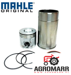 RE507920 Zestaw silnika MAHLE