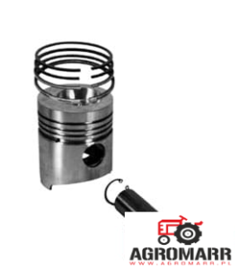 1931002 Tłok Z Pierścieniami STD