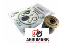 1343659C1 ZESTAW NAPRAWCZY POMPY