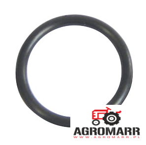 237-6010 Oring