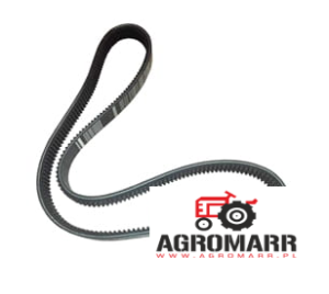 X696989501000 Pas potrójny