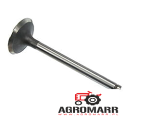 4222149M91 Zawór ssący