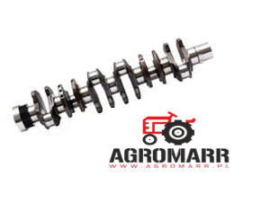 04294255 Wał korbowy