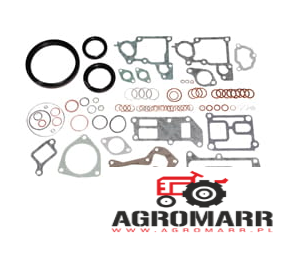 02928729 Zestaw Uszczelek Silnika