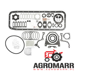 02911577 Kpl. uszczelek silnika