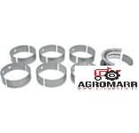 Panewki STD Case A77706