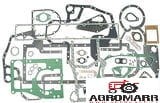 Komplet uszczelek bloku Case IH 3136817R99 