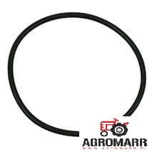 Oring 181138A1 