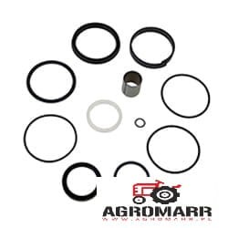 Zestaw Uszczelnień Case, New Holland, Landini 319248A2