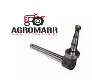 Oś zwrotnicy 405840R12