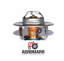 Termostat 1645921M1