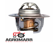 V836015156 Termostat