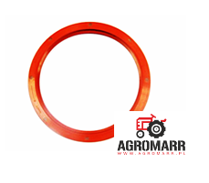 218271A1 Uszczelniacz wału korbowego