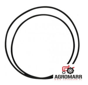 3790323M1 Oring
