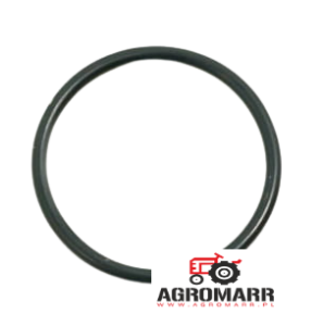 831702M1 Oring