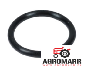 VA028604 Oring