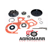 4222841M91 Zestaw naprawczy pompy wody