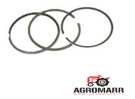 04152185 Pierścienie STD Powerseal