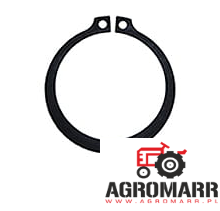 11068876 Pierścień