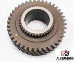 228606A2 KOŁO ZEBATE