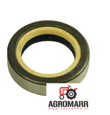 1966191C1 Uszczelniacz