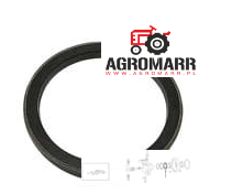 1964235C1 Uszczelniacz