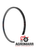 218497A1 Wieniec koła zamachowego