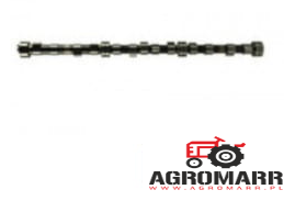 F824200410040 Wałek Rozrządu