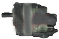 Pompa hydrauliczna Massey Ferguson 1855055M95.01