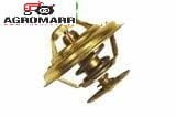 Termostat Massey Ferguson 4222845M1