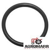 Oring Massey Ferguson 3582934M1