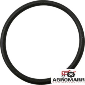 Oring Case IH 81669C1