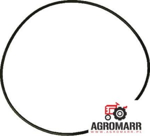 Oring L40317
