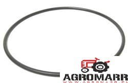 Oring Fendt X548922366000