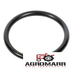 Oring Case, New Holland 70924270