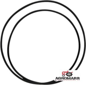 Oring Massey Ferguson 3790324M1