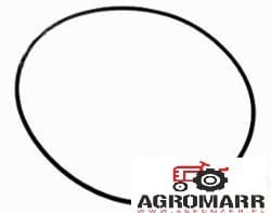 Oring Fendt X549046900000