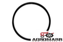 Uszczelniacz Massey Ferguson 3713940M1