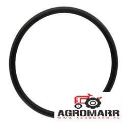 Oring Fendt X548917266000