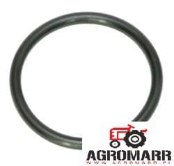 Oring Deutz 06214801