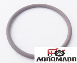 Oring 831531