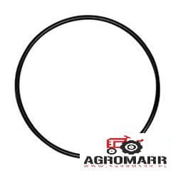 Oring Tulei Fendt, Massey Ferguson X548987466000