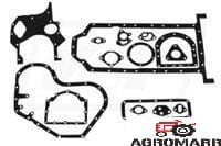 Kpl. Uszczelek Bloku Massey Ferguson 4223129M91