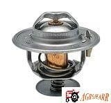 Termostat 218039A1 